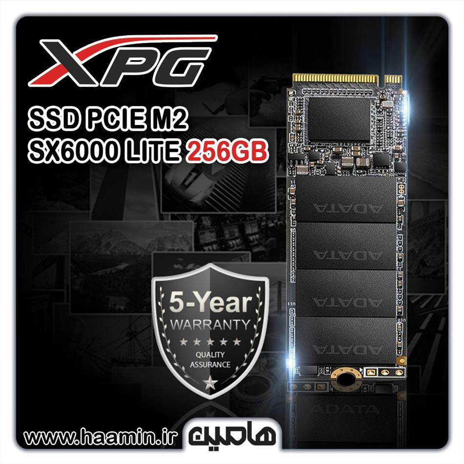 اس اس دی اینترنال ای دیتا ایکس پی جی  مدل SX6000 Lite ظرفیت 256 گیگابایت