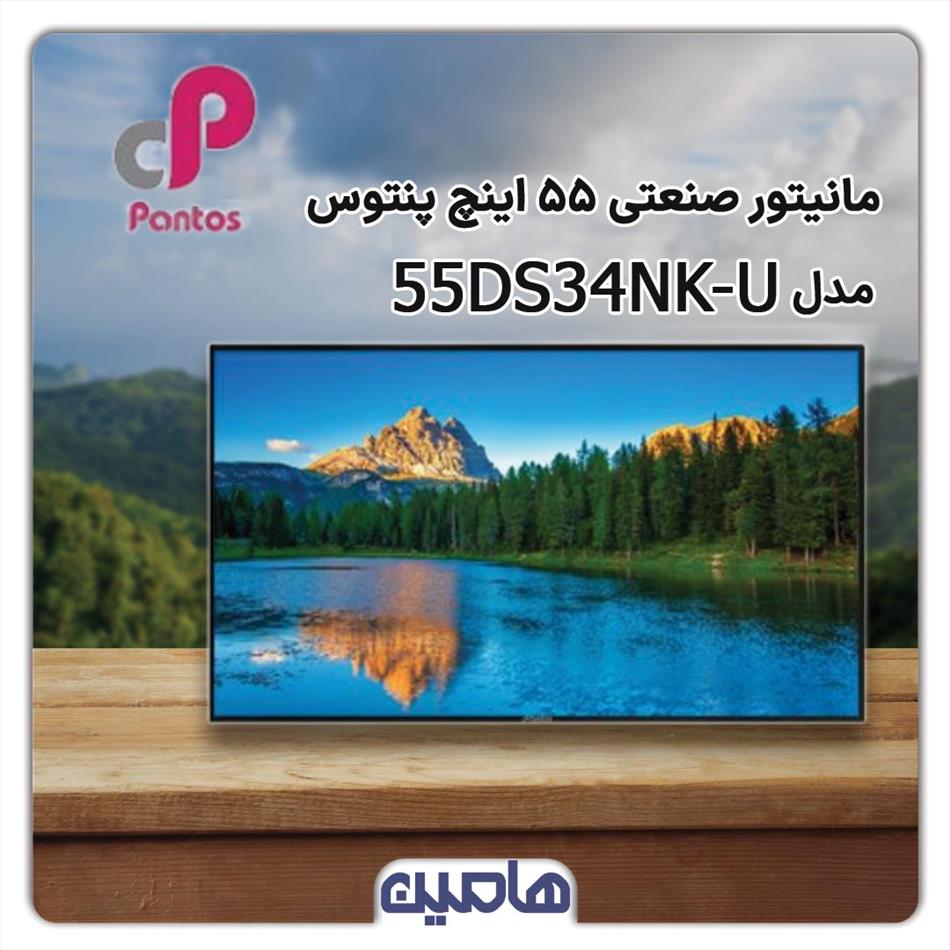 مانیتور 55 اینچ صنعتی پنتوس مدل 55DS34NK-U